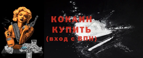 винт Бронницы