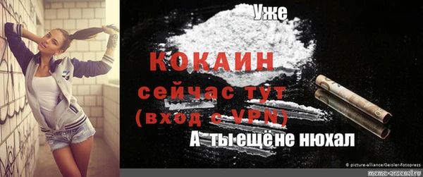 MESCALINE Бородино